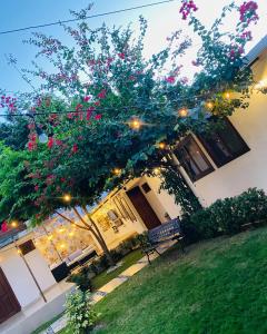 a house with lights and a tree with pink flowers at Casa San Juan 560 in Managua +11 photos