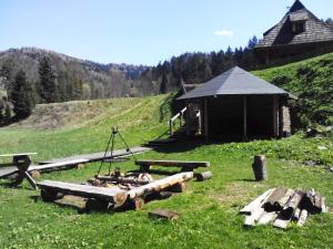 Príroda v okolí chaty v prírode