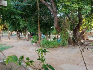 a park with a bunch of trees and plants at Sitio pousada Santo Antônio in Itaporanga dʼAjuda