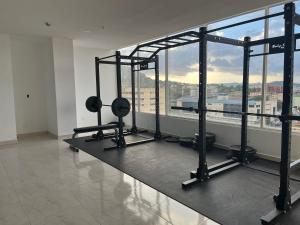 Palestra o centro fitness di Seafront Apartment Infinity Pool Rooftop