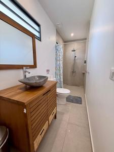 Villa Moea private pool confort & serenity in Pirae - AC- Wifi - 3 bdr的一间浴室