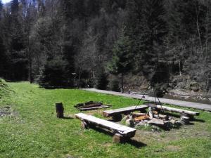 Príroda v okolí chaty v prírode