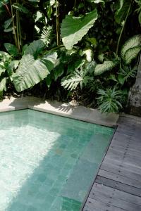 a swimming pool in a garden with plants at ARTOTEL Haniman Ubud in Ubud