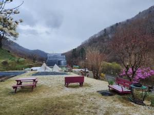 three park benches sitting in the grass in a field at Hwacheon Sankkun-uijib Pension in Hwach'ŏn