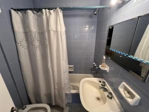 ein Badezimmer mit einem Duschvorhang, einem WC und einem Waschbecken in der Unterkunft Lo de Lau, Mar del Plata in Mar del Plata