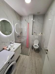 Ένα μπάνιο στο Studio Trebisnjica