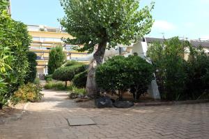 a tree in a courtyard next to a building at Village Naturiste Le Cap d'Agde villa Port Nature in Cap d'Agde