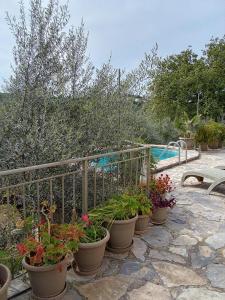 a bunch of potted plants sitting next to a fence at "Villa Kastania" Melidoni, Chania, Crete in Melidhónion