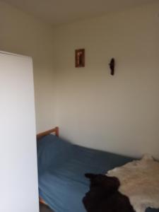 a bedroom with a blue bed and a white wall at Chabrowa Polana in Tuplice