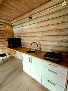 a kitchen with a sink and a wooden wall at Gościniec Kukle in Kukle