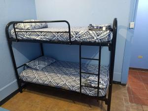 a couple of bunk beds in a room at Hostel Casa Ridgway in San José +56 photos