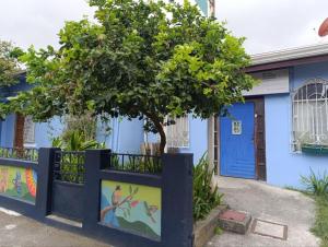 een blauw gebouw met een boom ervoor bij Hostel Casa Ridgway in San José