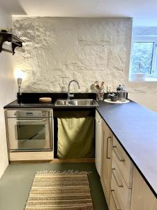 Η κουζίνα ή μικρή κουζίνα στο Cozy, new apartment on Kråkerøy