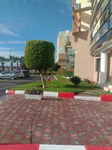 un árbol en una acera de ladrillo junto a un edificio en BOUZNIKA Appartement au Centre ville, en Bouznika