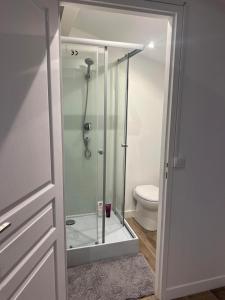 une douche en verre dans une salle de bains avec toilettes dans l'établissement Studio cosy indépendant et détaché dans une villa avec parking gratuit, à Marseille