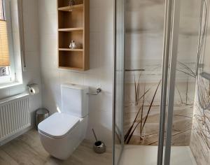 a bathroom with a toilet and a glass shower at Haus Rehkitz RE07 in Sögel