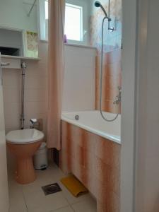 a bathroom with a tub and a toilet and a shower at EmTo Suhi Potok in Jesenice