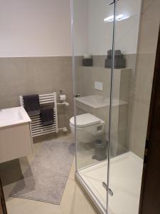 a bathroom with a toilet and a glass shower at Ferienwohnungen Lohmann in Bullay