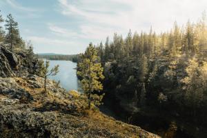a view of a lake in the middle of a forest at Wilderness Hotel Nellim & Igloos in Inari +37 photos