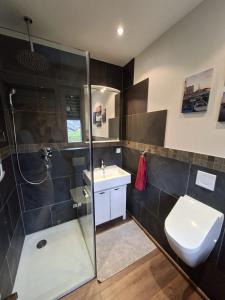 a bathroom with a shower and a sink and a toilet at Moselanker de in Enkirch Mosel in Enkirch +43 photos