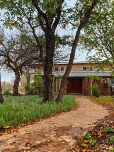 a brick house with trees and a dirt road at Munati B&B in Musina +16 photos