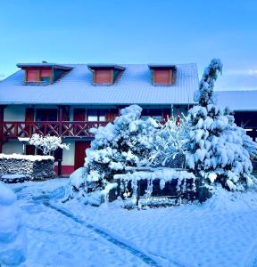 a house with snow covered trees in front of it at La Poulie - Apartment with Balcony and Free Privative Parking - Close to Colmar in Sainte-Croix-en-Plaine
