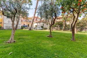a group of trees in a field of grass at TheKeyStudio, Stella Marina Suite in Bordighera