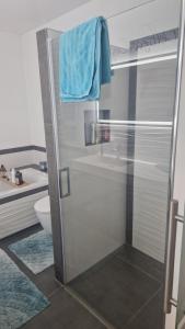 a bathroom with a shower with a blue towel at Ferienwohnung EDITH in Dobbrikow +11 photos
