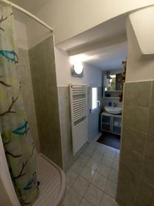 a small bathroom with a shower and a sink at Bilocale in centro con vista mare in Porto Santo Stefano