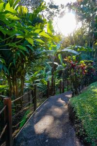 a path in a garden with flowers and a fence at Sueño Río Celeste Boutique B&B in Bijagua