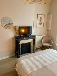 a living room with a fireplace and a television at Logement cosy au cœur de Nevers in Nevers