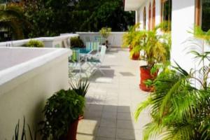 a patio with a bunch of potted plants on a building at Capital O Hotel Los Caracoles, Acapulco in Acapulco