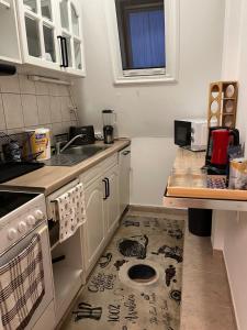 ハイドゥソボスローにあるVenyige Residenceのキッチン(犬の穴付) +5枚の写真