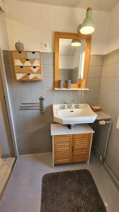 a bathroom with a sink and a mirror at DILIGENCE in Valady +21 photos