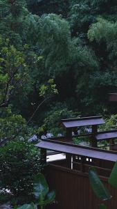 青城山坐忘森林疗愈酒店外面的花园