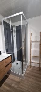 a shower in a bathroom with a glass enclosure at Le TOURNY-Studio cosy avec ascenseur- Sarlat - Coeur cité médiévale in Sarlat-la-Canéda