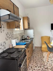 Kuchyň nebo kuchyňský kout v ubytování Aegean House