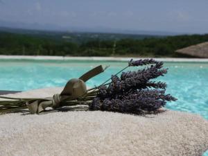 a bouquet of purple flowers sitting on a beach at La Ferme les Eybrachas in Réauville
