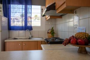 a kitchen with a bowl of fruit on the counter at Stefanie Studios in Egina