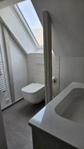 a bathroom with a toilet and a sink and a skylight at FeWo Gisela in Fehmarn +4 photos