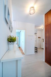 Kuchyňa alebo kuchynka v ubytovaní Apartment Zest