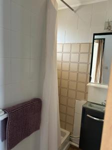 un bagno con tenda da doccia e lavandino di Appart Gwen a Gruissan Altre 5 foto