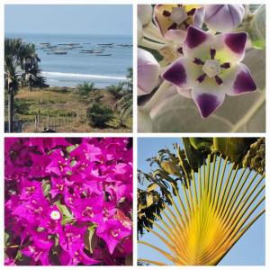 Fotografie z fotogalerie ubytování Domaine le Flamboyant v destinaci Cap Skirring