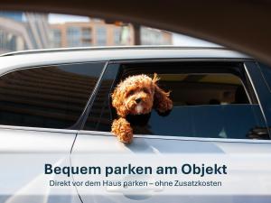 Et eller flere kæledyr der bor med gæster på Korswandt, Ostseebungalow B6 + 12 billeder