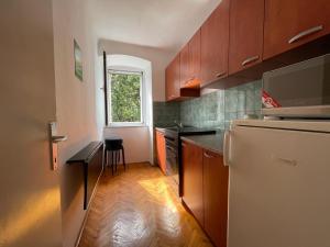 A kitchen or kitchenette at Apartment Fleger Obala