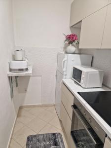 Kuchyň nebo kuchyňský kout v ubytování Spacious 4 Bedroom Dubrovnik Apartment