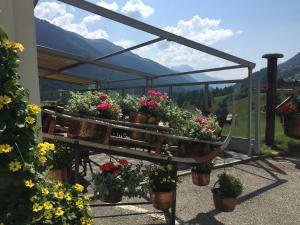 eine Gruppe Topfpflanzen auf einer Terrasse mit Bergen in der Unterkunft Hotel Weisshorn in Ritzingen