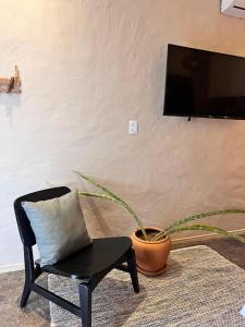 a chair and a plant in a room with a tv at Nazareth Cânion in Buriti dos Montes
