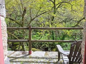 a pair of chairs sitting on a porch with trees at House 1 in Fafe +2 photos