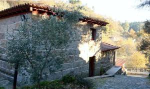 a stone building with a tree in front of it at House 1 in Fafe